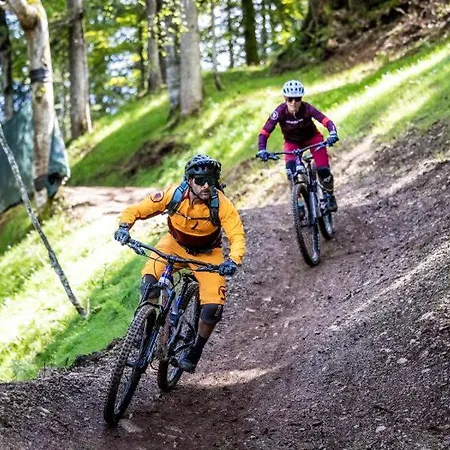 Bergpanorama Daire Brixen im Thale