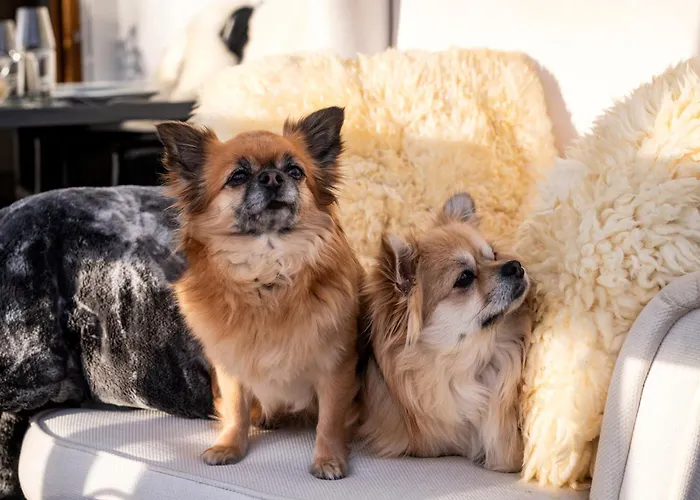 Bergpanorama ブリクセン イン ターレ