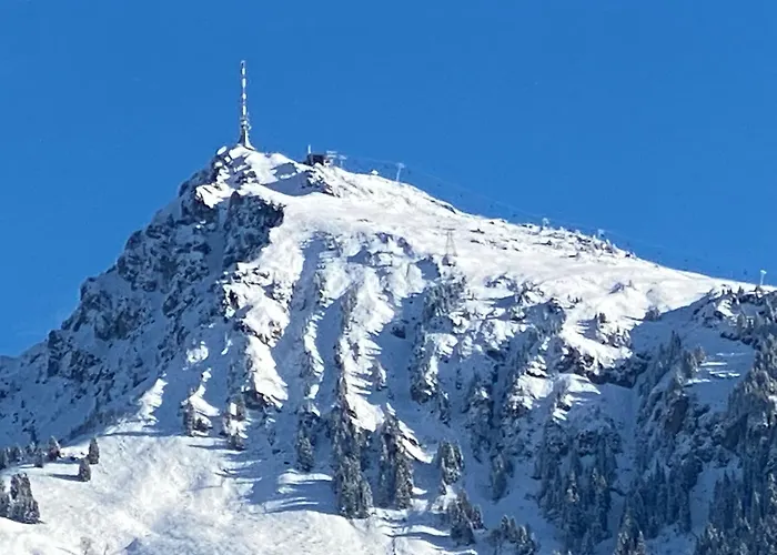 アパート Bergpanorama *